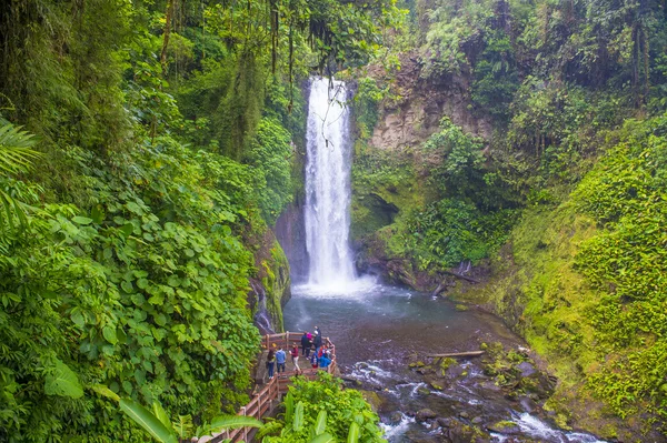 Cascada costarricense La Paz —  Fotos de Stock