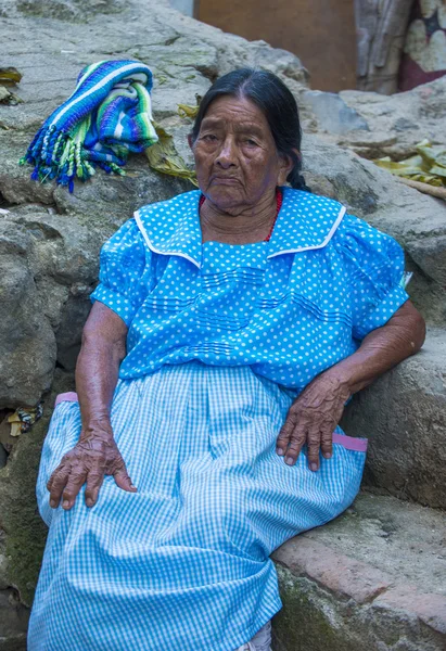 Fête des fleurs et des palmiers en Panchimalco, El Salvador — Photo