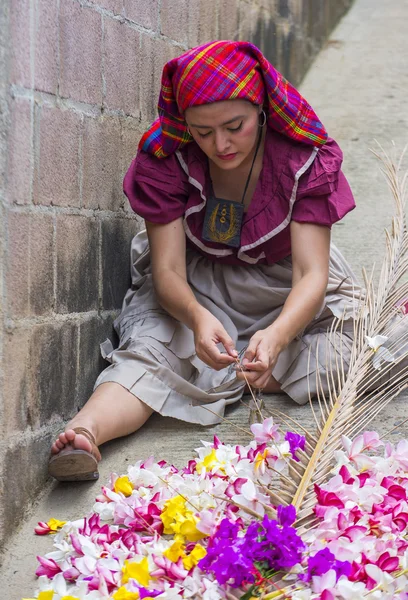 Flower & Palm Festival in Panchimalco, El Salvador — Stock Photo, Image