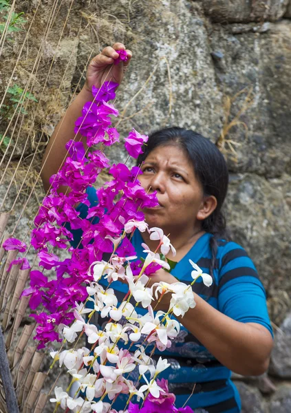 Blumen & Palmen Festival in panchimalco, el salvador — Stockfoto