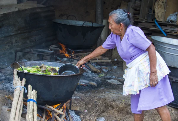 Fête des fleurs et des palmiers en Panchimalco, El Salvador — Photo