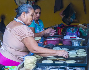 Mısır tortilla hamur fabrika