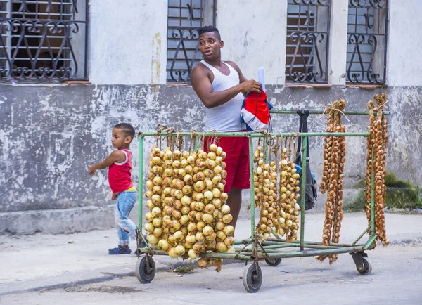 Een Cubaanse uien verkoper — Stockfoto