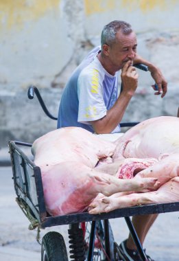 Bir Küba çekçek sürücüsü