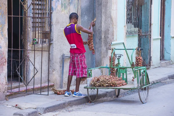 Un vendedor de cebolla cubana —  Fotos de Stock