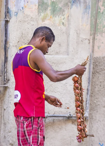 Un vendedor de cebolla cubana —  Fotos de Stock