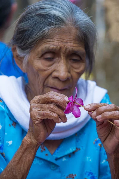 Fête des fleurs et des palmiers en Panchimalco, El Salvador — Photo