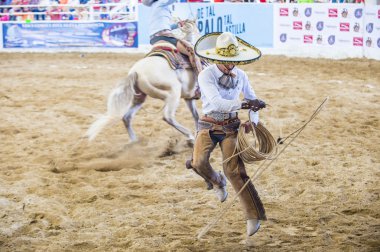 Uluslararası Mariachi ve Charros Festivali