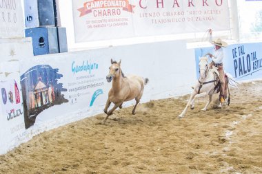 Uluslararası Mariachi ve Charros Festivali