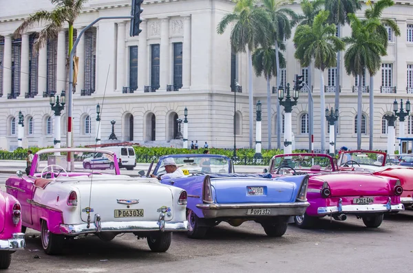 Küba'da eski klasik otomobil 