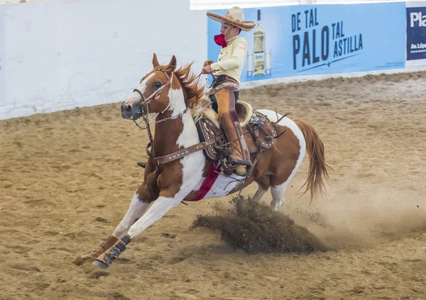 International Mariachi & Charros festival — Stockfoto