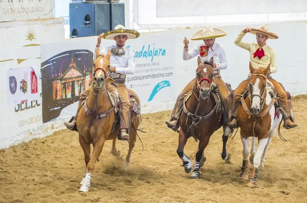 Internationella Mariachi & Charros festival — Stockfoto