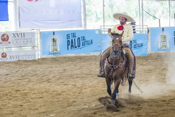 Uluslararası Mariachi ve Charros Festivali — Stok fotoğraf