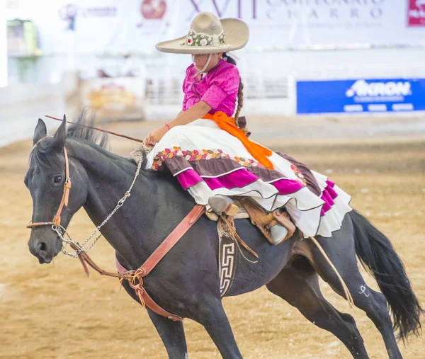 Festival internazionale Mariachi & Charros — Foto Stock