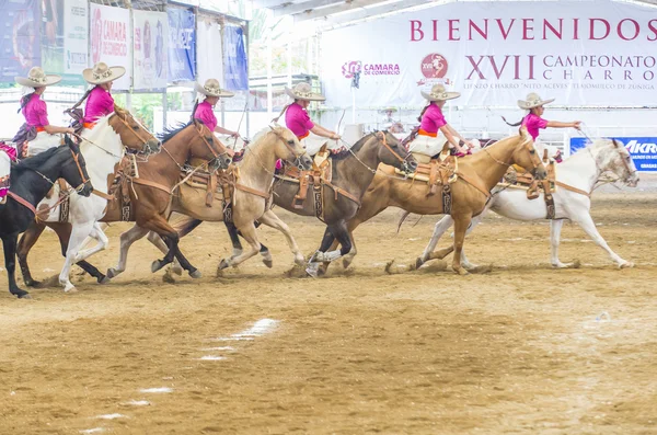 Uluslararası Mariachi ve Charros Festivali — Stok fotoğraf