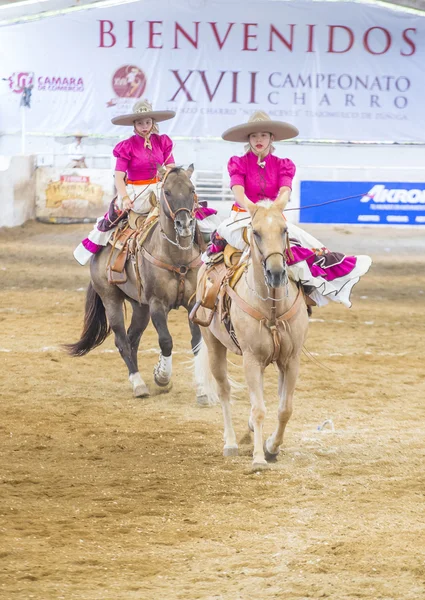 International Mariachi & Charros festival — Stockfoto