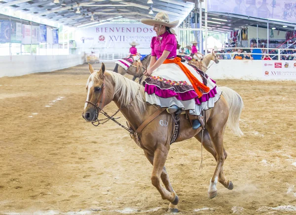 International Mariachi & Charros festival — Stockfoto