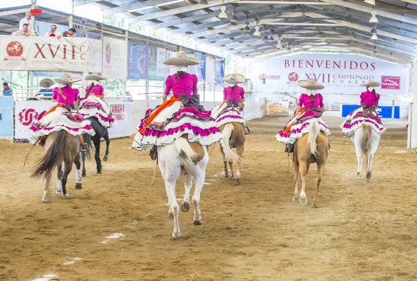 Festival internazionale Mariachi & Charros — Foto Stock