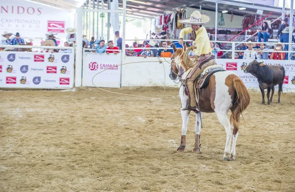 国际墨西哥流浪乐队 & Charros 节 — 图库照片