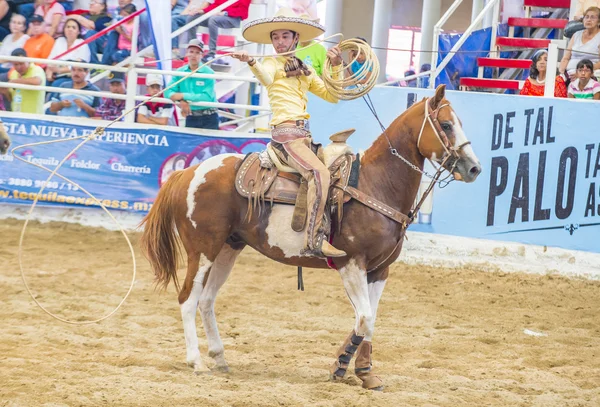 Uluslararası Mariachi ve Charros Festivali — Stok fotoğraf