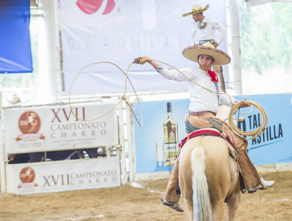 国际墨西哥流浪乐队 & Charros 节 — 图库照片