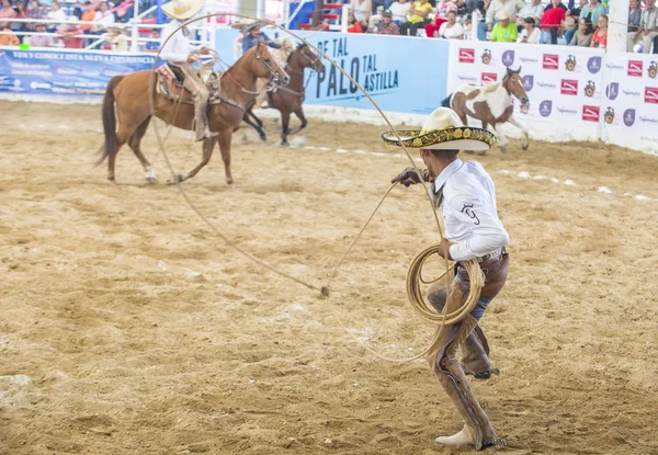 International Mariachi & Charros festival — Stockfoto