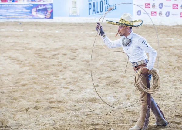 国際マリアッチ ・ Charros 祭 — ストック写真