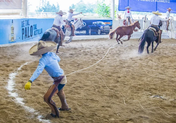 Uluslararası Mariachi ve Charros Festivali — Stok fotoğraf