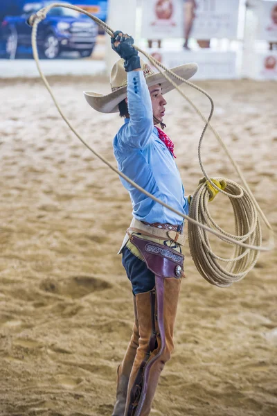 Internationella Mariachi & Charros festival — Stockfoto