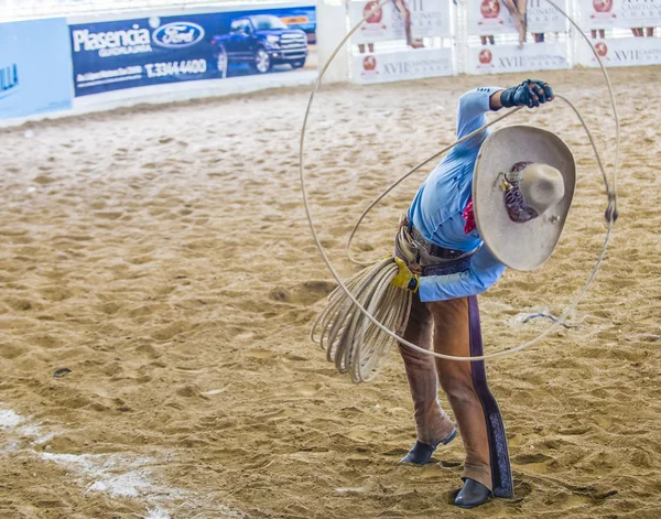 Nemzetközi Mariachi & Charros fesztivál — Stock Fotó