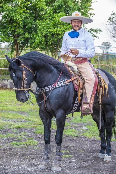 国际墨西哥流浪乐队 & Charros 节 — 图库照片