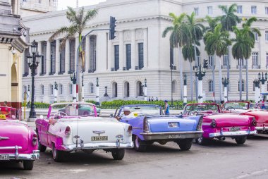 Küba'da eski klasik otomobil 