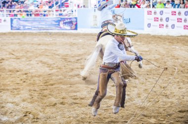 Uluslararası Mariachi ve Charros Festivali