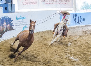 Uluslararası Mariachi ve Charros Festivali