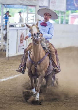 Uluslararası Mariachi ve Charros Festivali