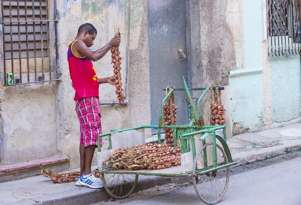 Kubánský cibule prodávající — Stock fotografie