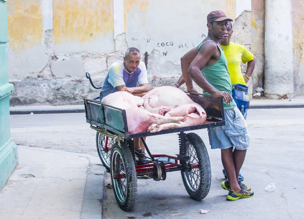 Un conductor cubano de rickshaw —  Fotos de Stock