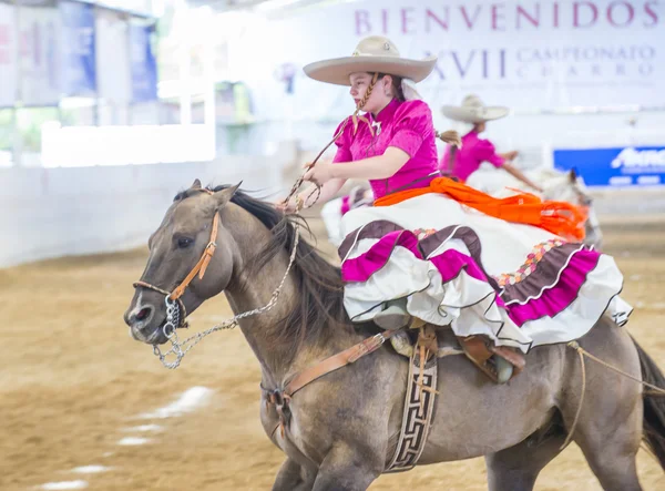 International Mariachi & Charros festival — Stock Photo, Image