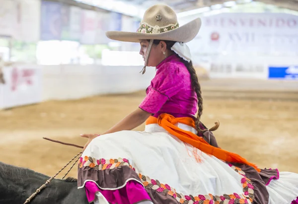 Festival Internacional de Mariachi & Charros — Fotografia de Stock