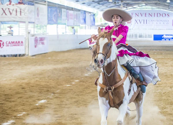 International Mariachi & Charros festival — Stockfoto