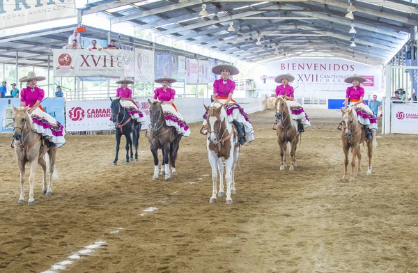 Uluslararası Mariachi ve Charros Festivali — Stok fotoğraf