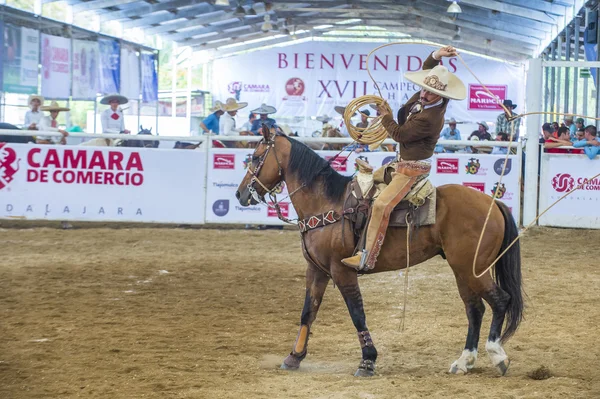 国际墨西哥流浪乐队 & Charros 节 — 图库照片