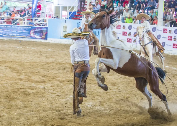 International Mariachi & Charros festival — Stock Photo, Image