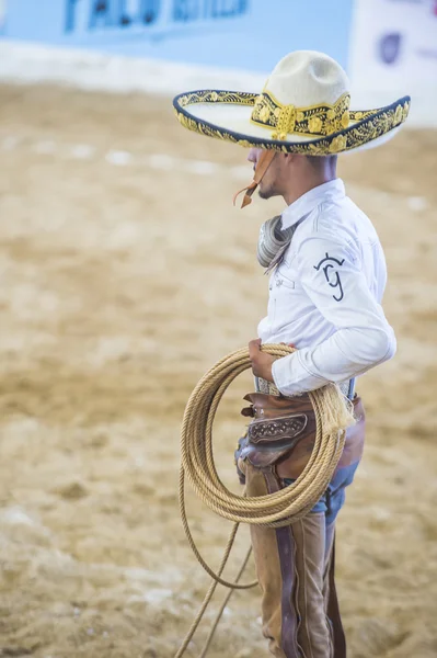 Uluslararası Mariachi ve Charros Festivali — Stok fotoğraf