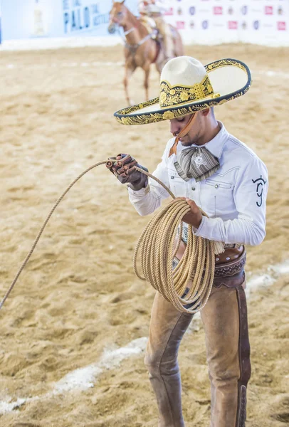 国際マリアッチ ・ Charros 祭 — ストック写真