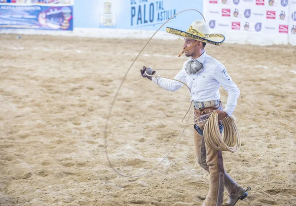 国際マリアッチ ・ Charros 祭 — ストック写真