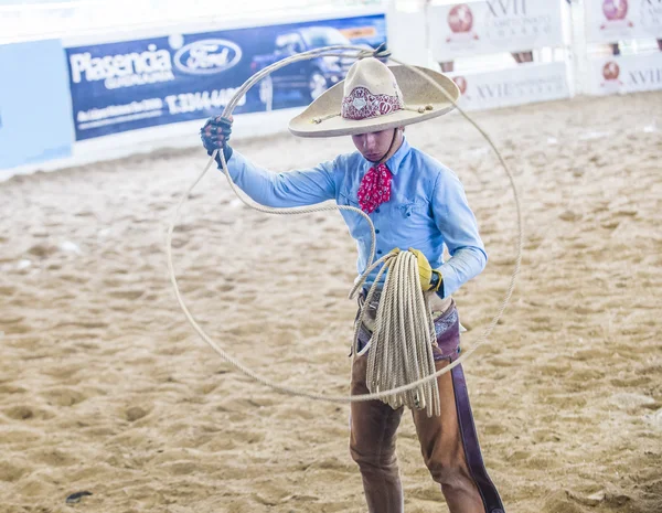 Uluslararası Mariachi ve Charros Festivali — Stok fotoğraf