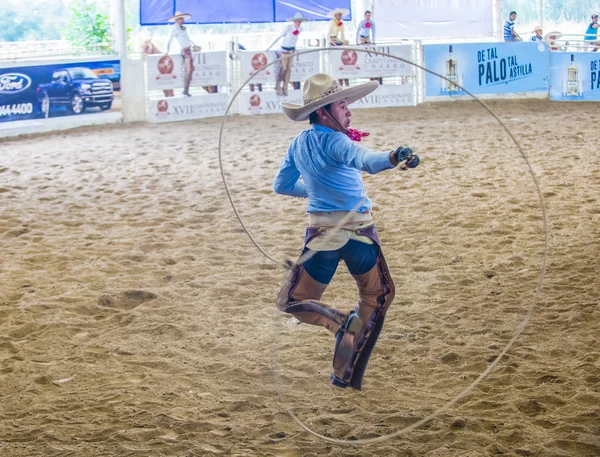 International Mariachi & Charros festival — Stockfoto