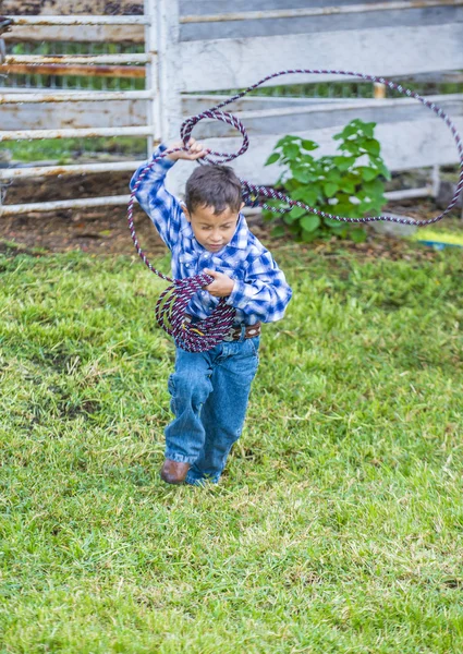 Uluslararası Mariachi ve Charros Festivali — Stok fotoğraf