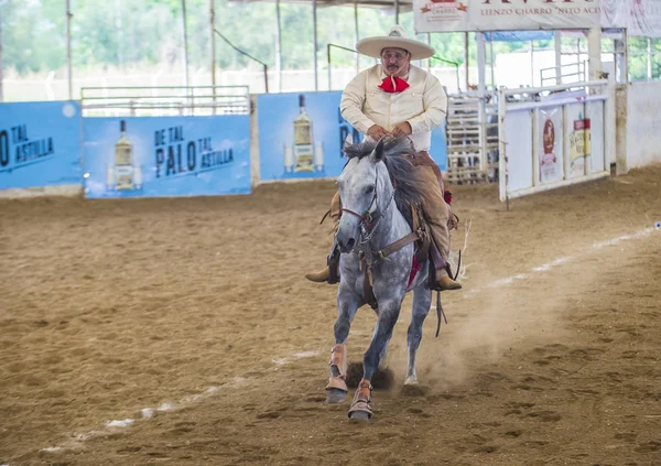 International Mariachi & Charros festival — Stockfoto